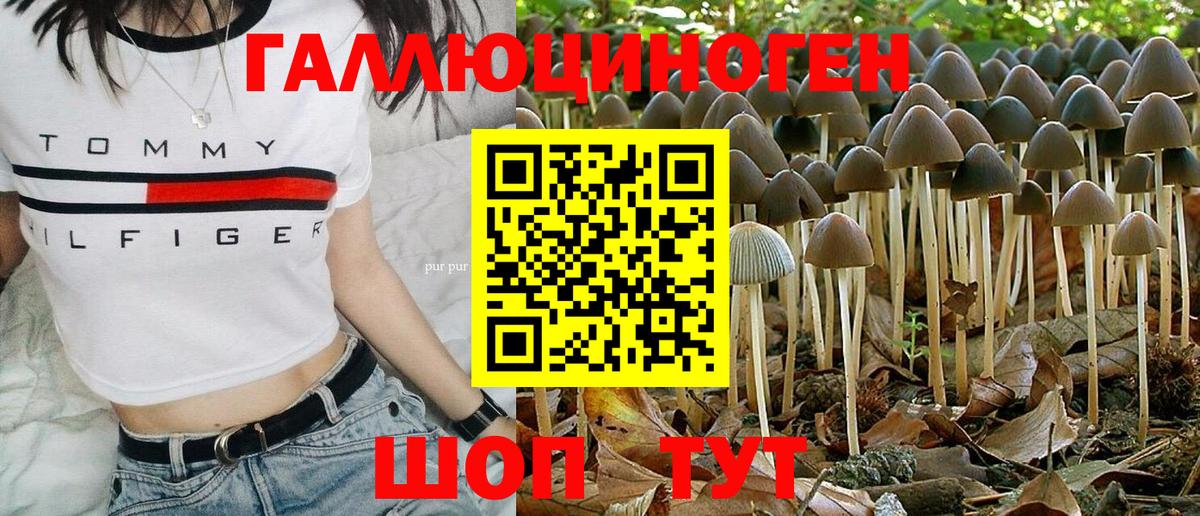 Псилоцибиновые грибы ЛСД  Галлюциногенные грибы Cubensis  Гурьевск  Вход с VPN 